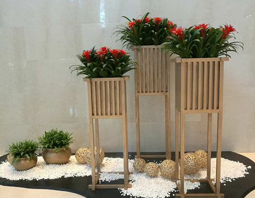 朝陽區綠植租擺